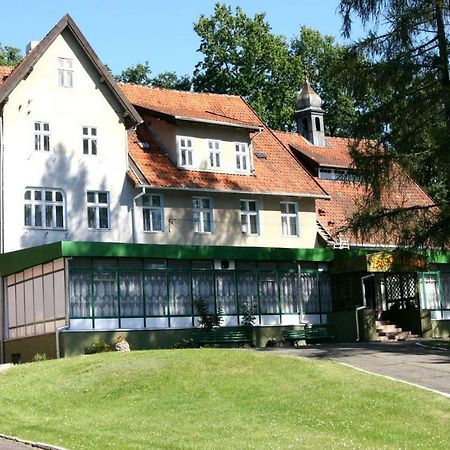 Zacisze Lesne Vandrehjem Lidzbark Warmiński Eksteriør billede
